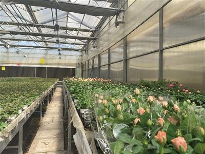 循環利用，清流再生 北京再生水利用率近三成的實踐與啟示