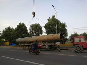 金嶺污水處理與再生利用 構(gòu)筑生態(tài)屏障，賦能可持續(xù)發(fā)展